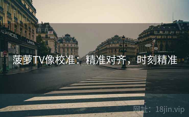 菠萝TV像校准：精准对齐，时刻精准